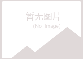 太和区白山能源有限公司